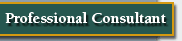 Professional Consultant